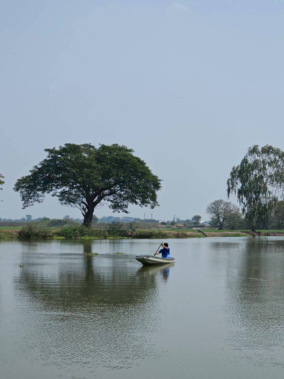 Yale School of Architecture Field Study in Ayutthaya: Rivers, Ruins, and Adaptive Living&nbsp;Landscapes